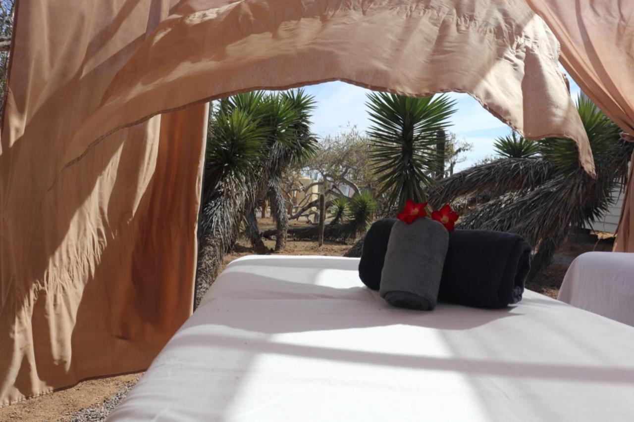 Aparthotel Experience El Cardonal Exterior foto